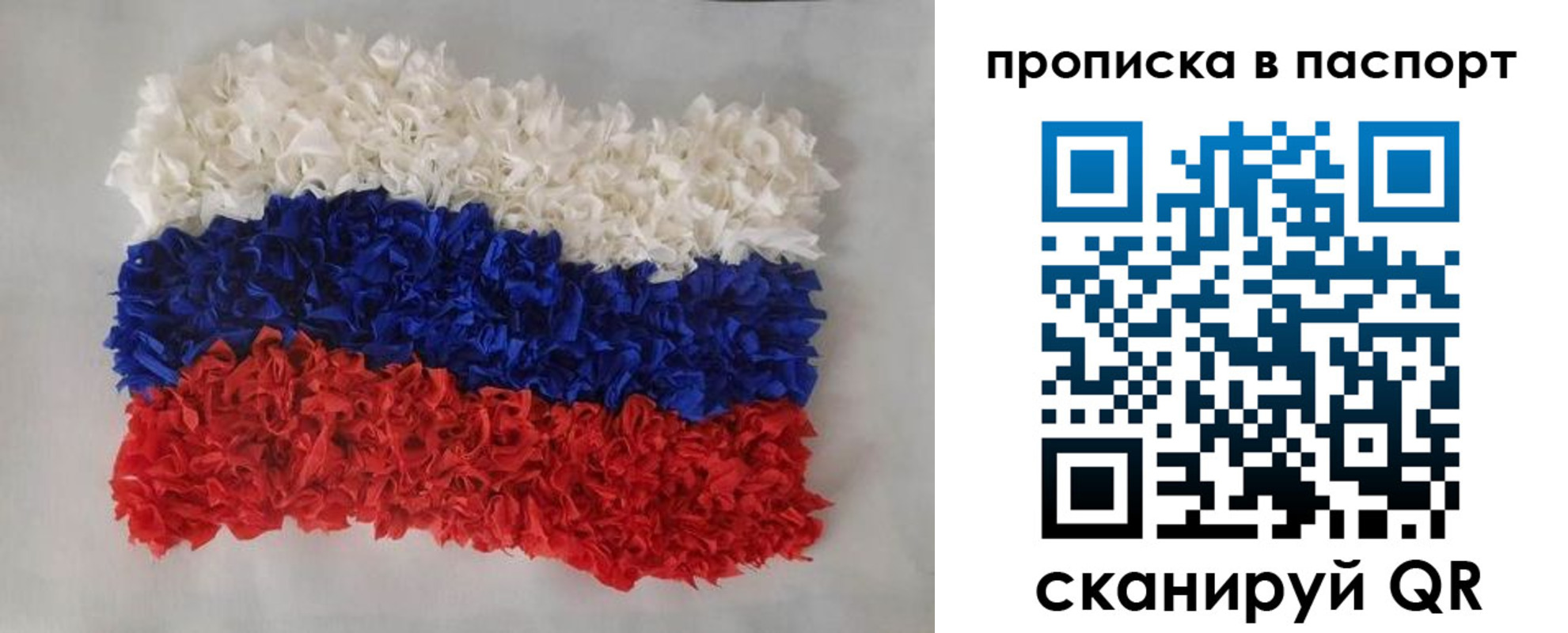 прописка в Гвардейске